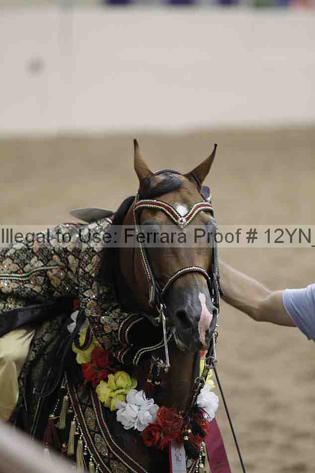 Proof 12yn_04390
