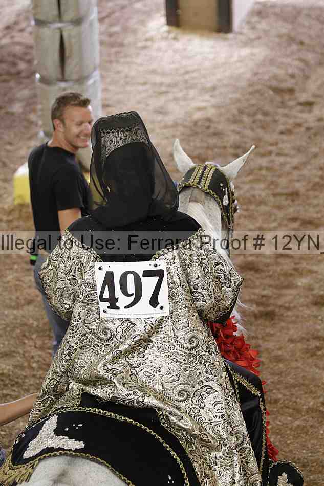 Proof 12yn_04403