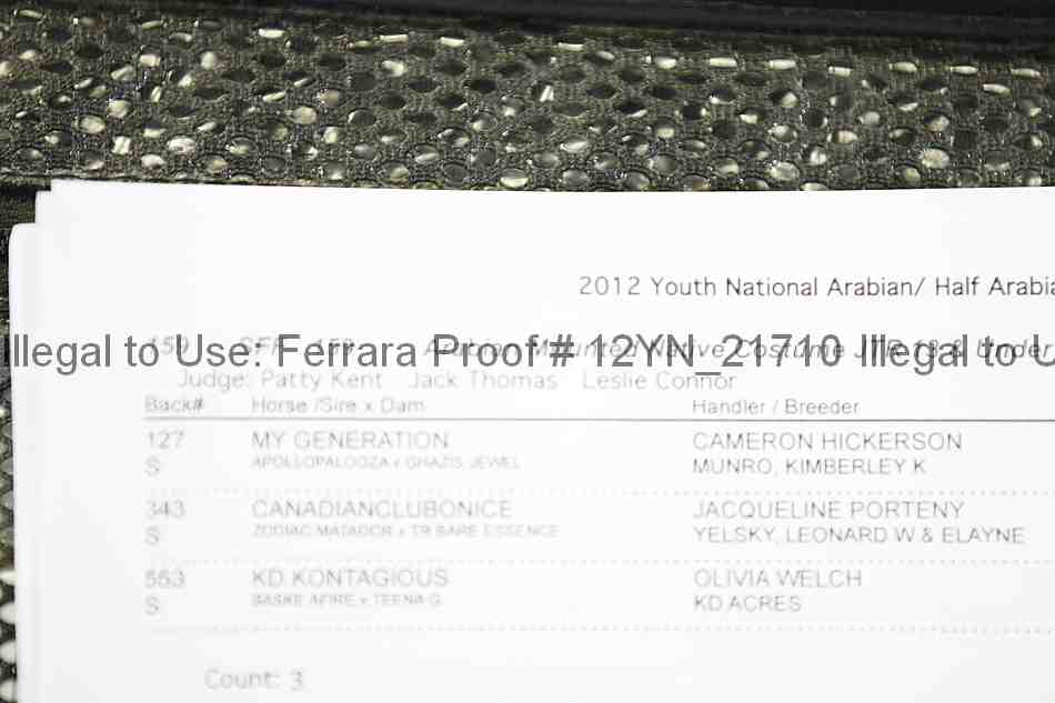 Proof 12yn_21710