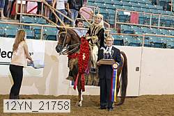 12yn_21758 proof