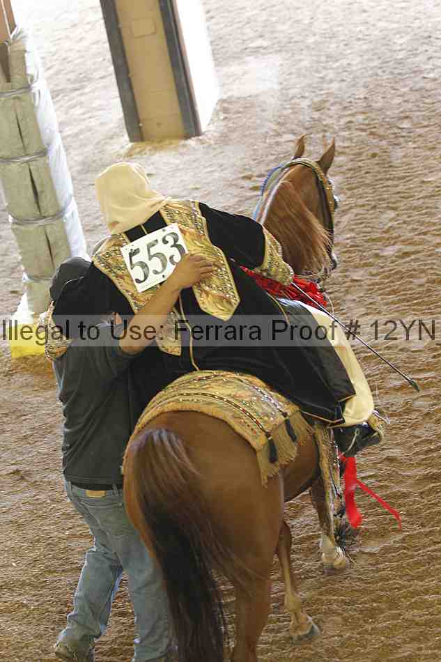 Proof 12yn_21807