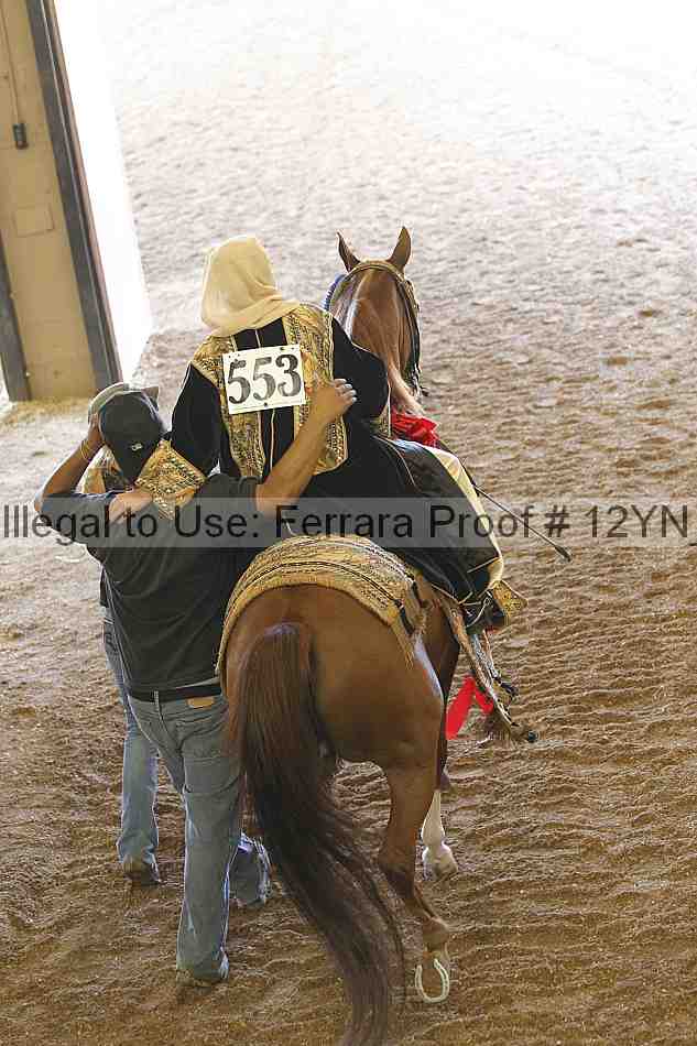 Proof 12yn_21808
