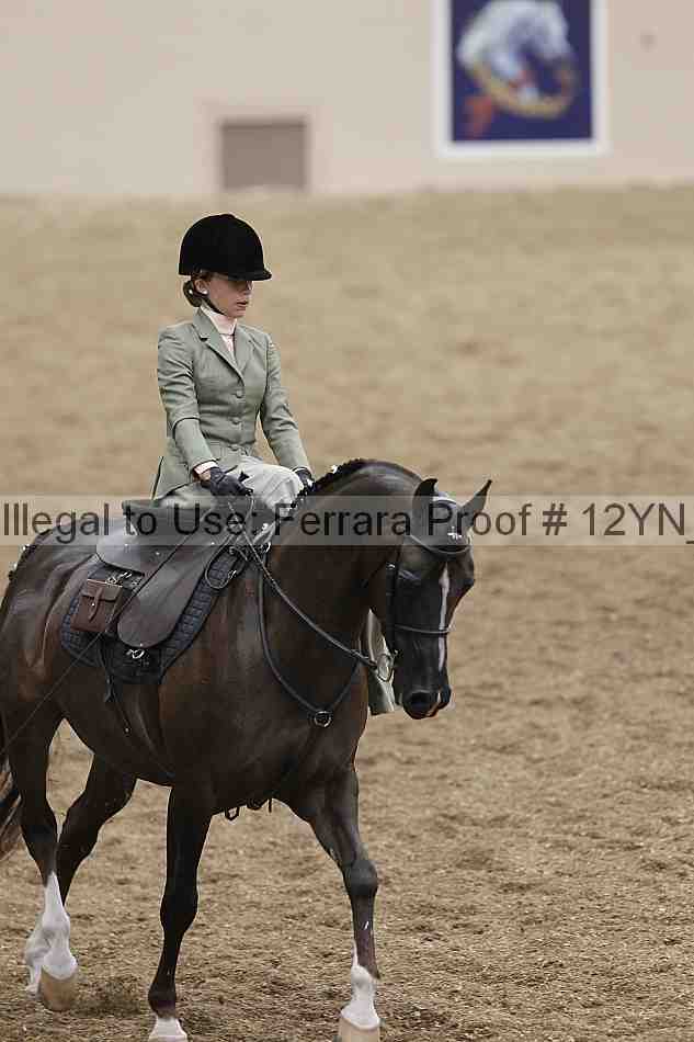 Proof 12yn_01156