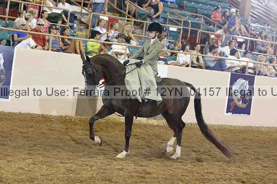 Proof 12yn_01157