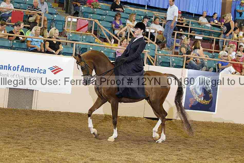 Proof 12yn_01160