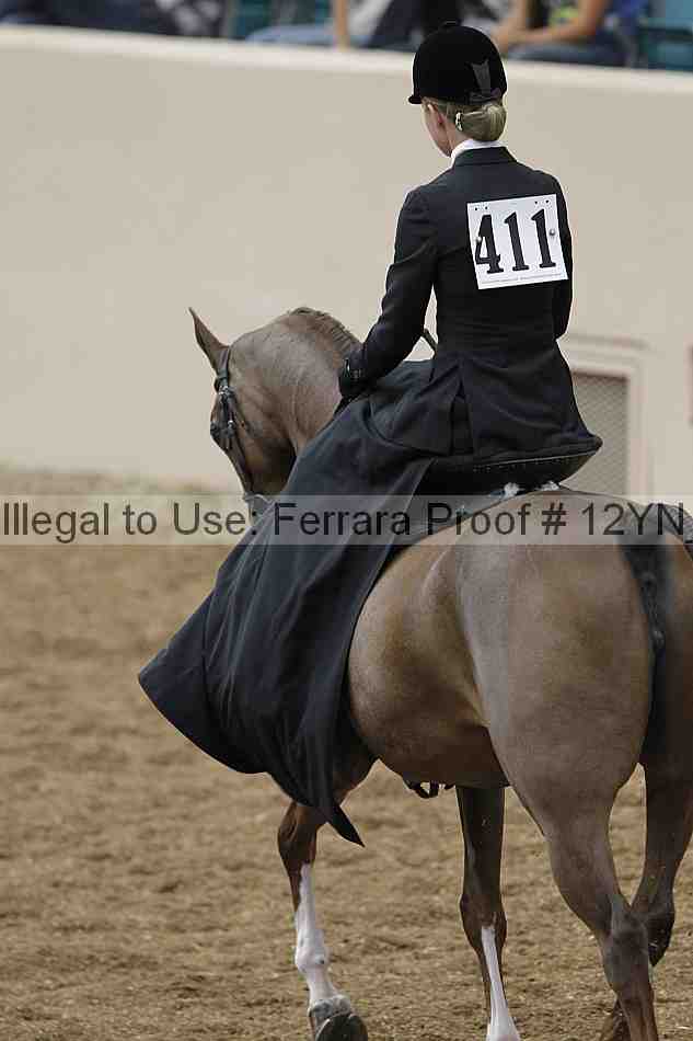 Proof 12yn_01163