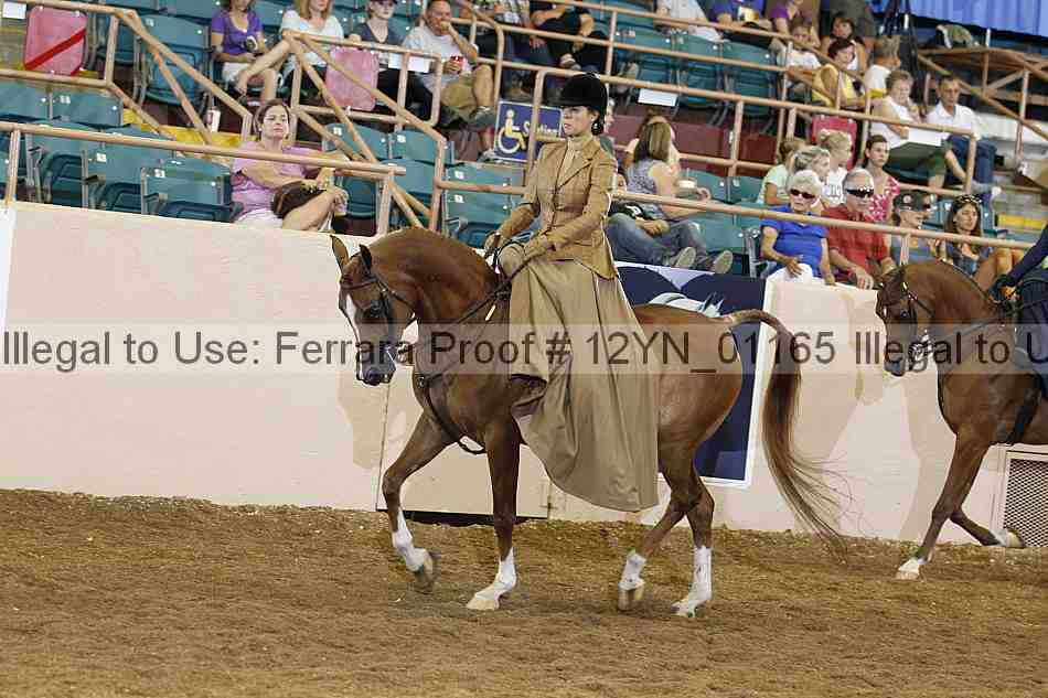 Proof 12yn_01165