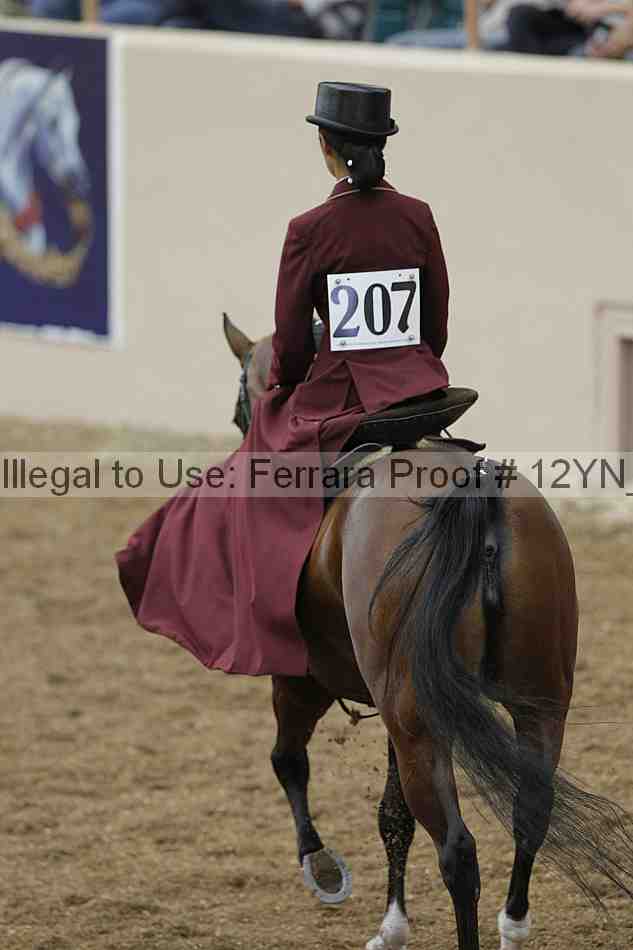 Proof 12yn_01166