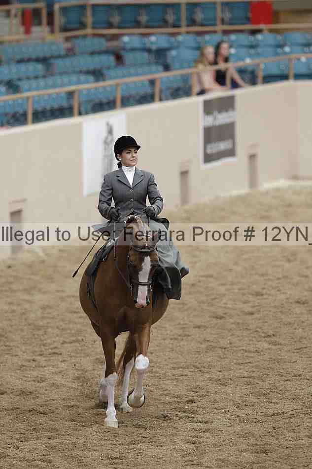 Proof 12yn_01167