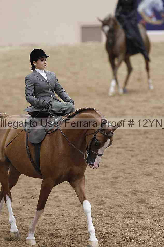 Proof 12yn_01168