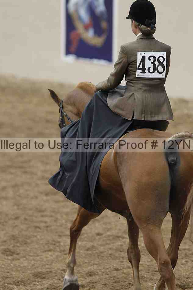 Proof 12yn_01171