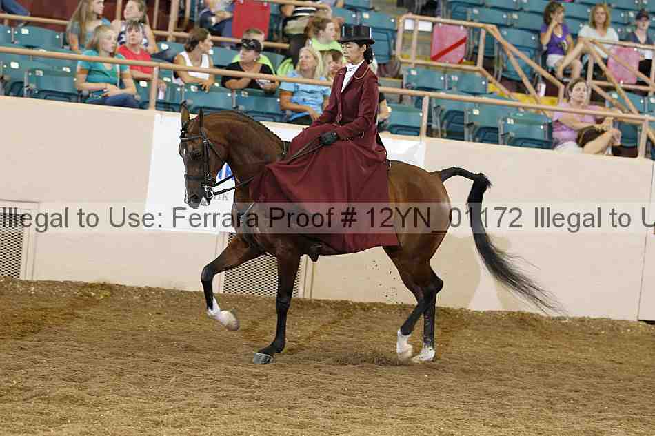 Proof 12yn_01172