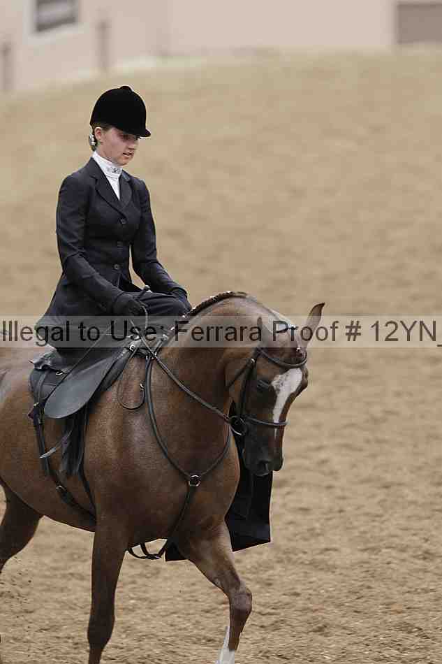 Proof 12yn_01173