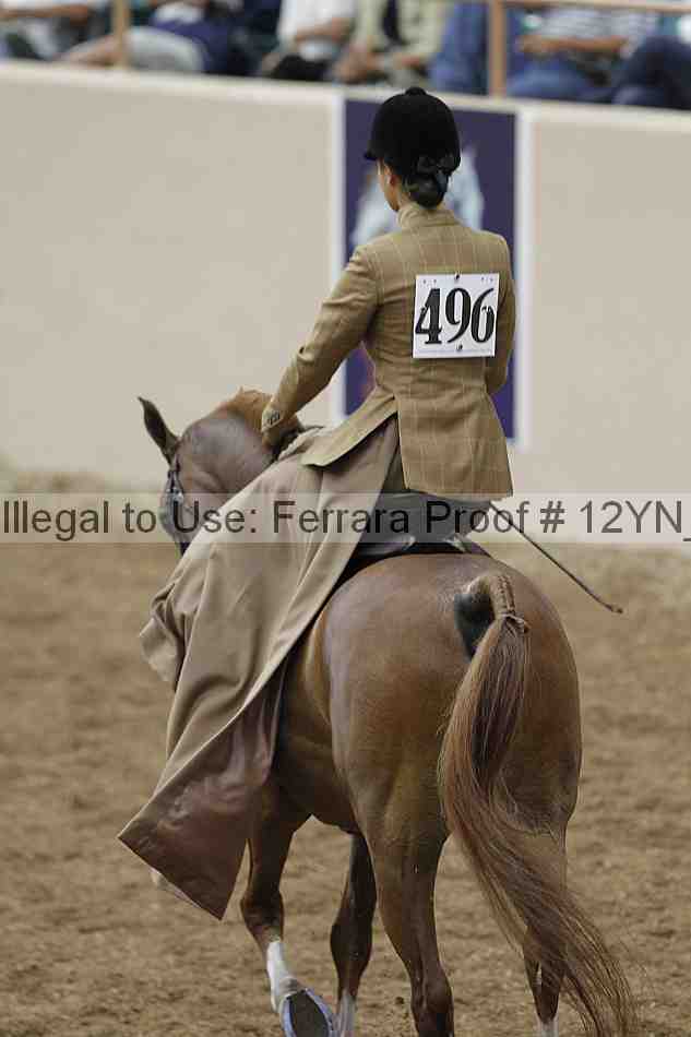 Proof 12yn_01175