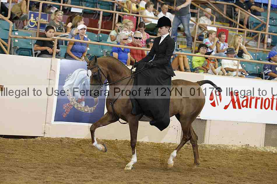 Proof 12yn_01176