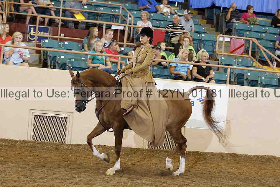 Proof 12yn_01181