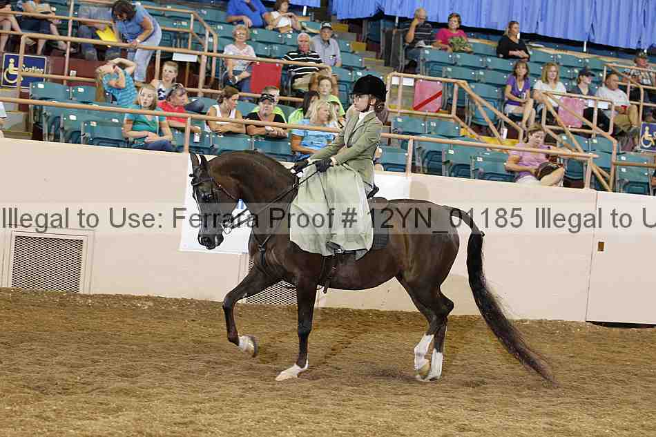 Proof 12yn_01185