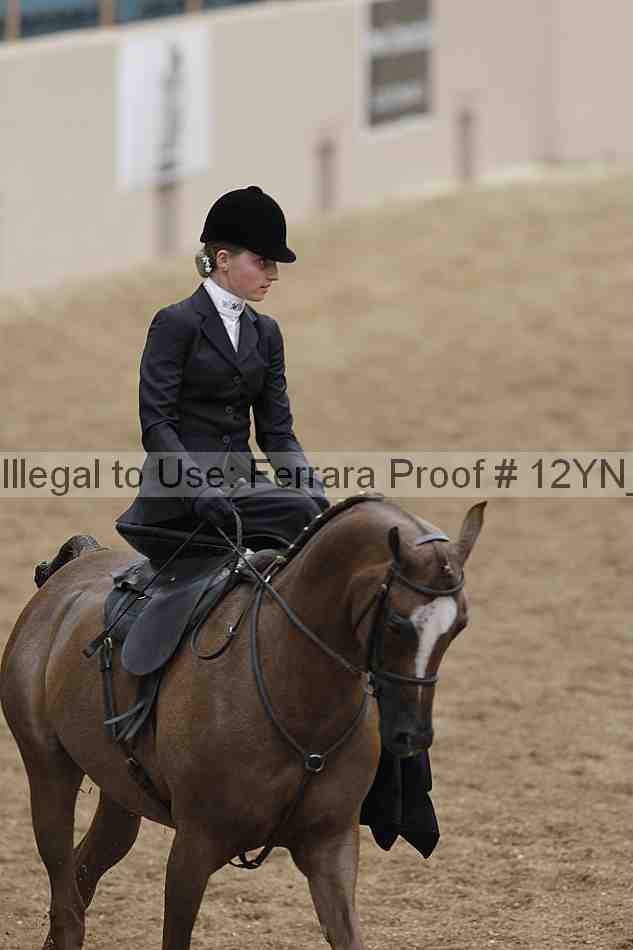 Proof 12yn_01187