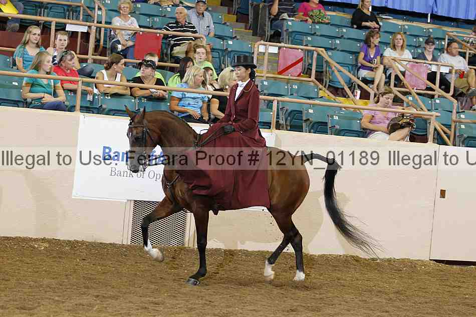 Proof 12yn_01189