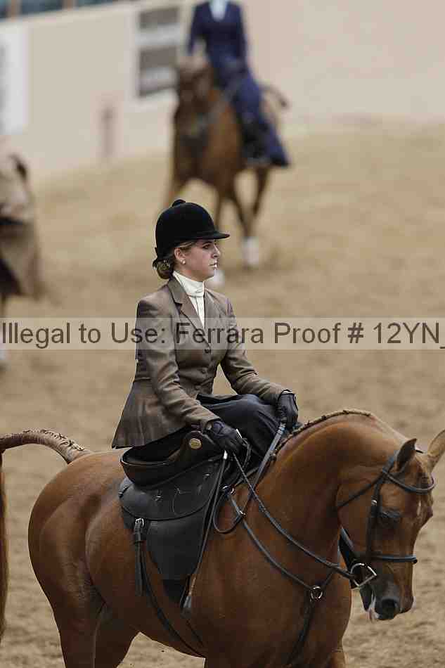 Proof 12yn_01190