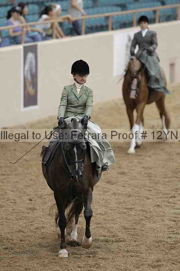 Proof 12yn_01195