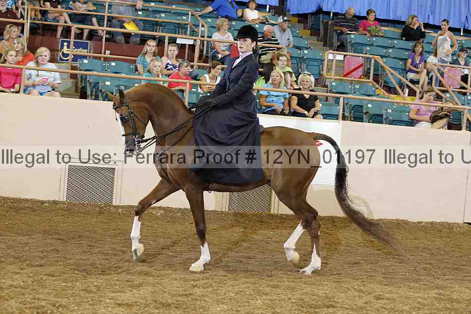 Proof 12yn_01197