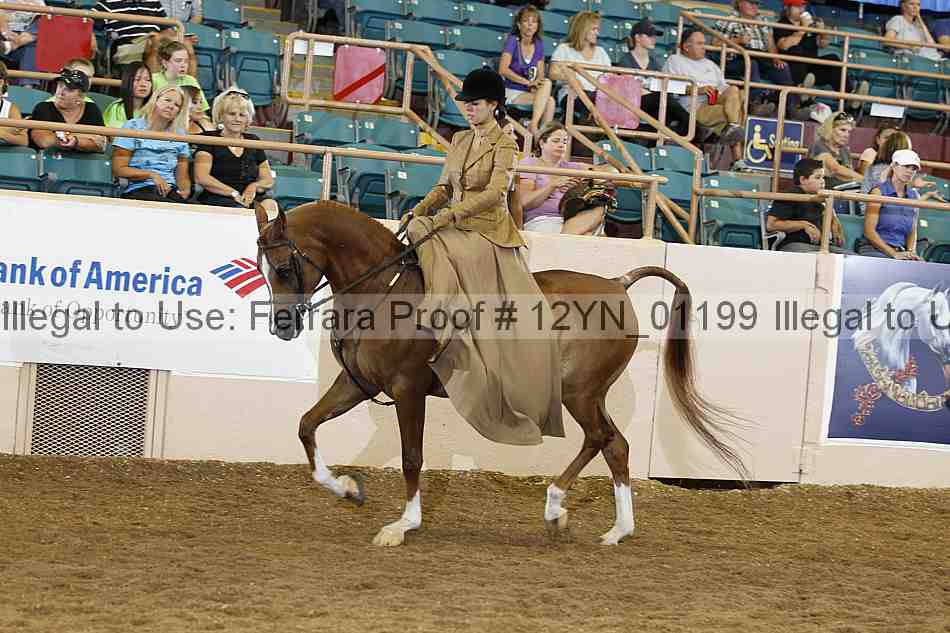 Proof 12yn_01199