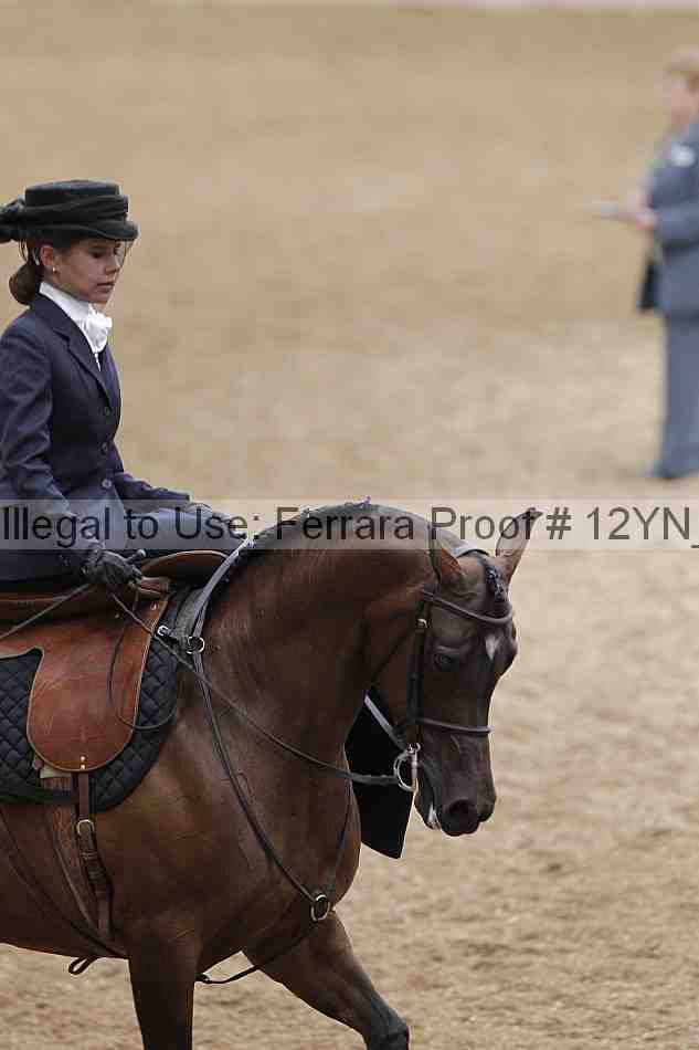 Proof 12yn_01202