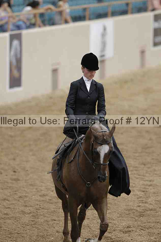 Proof 12yn_01205