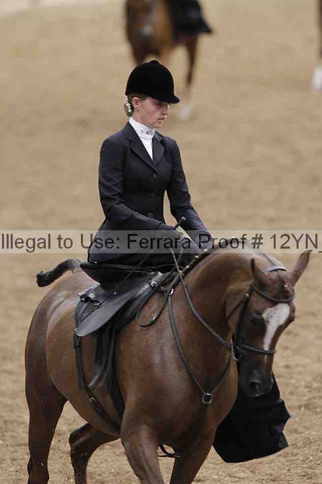 Proof 12yn_01207