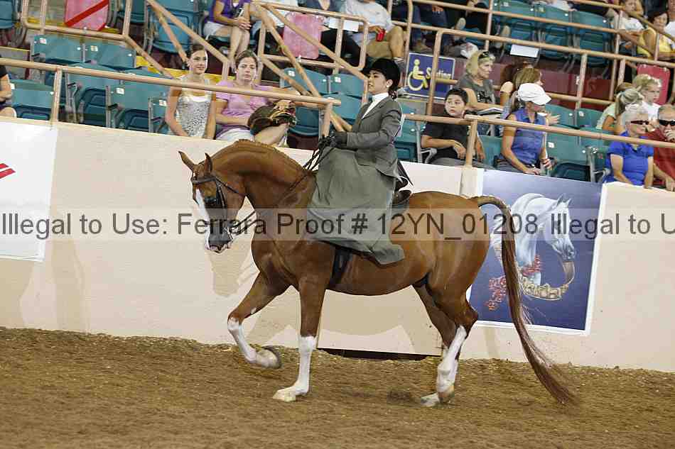 Proof 12yn_01208