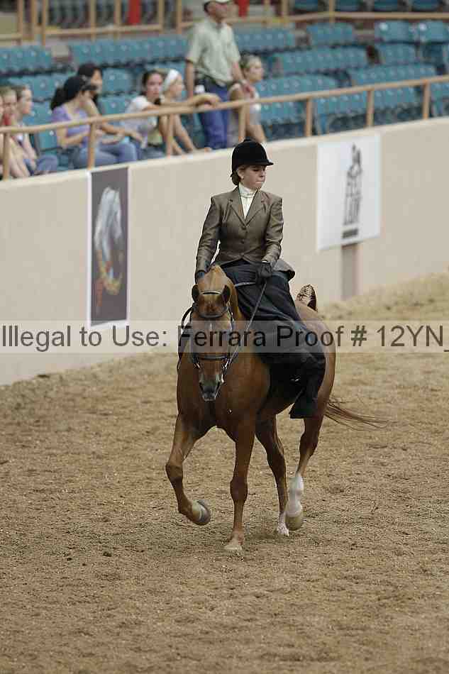Proof 12yn_01209