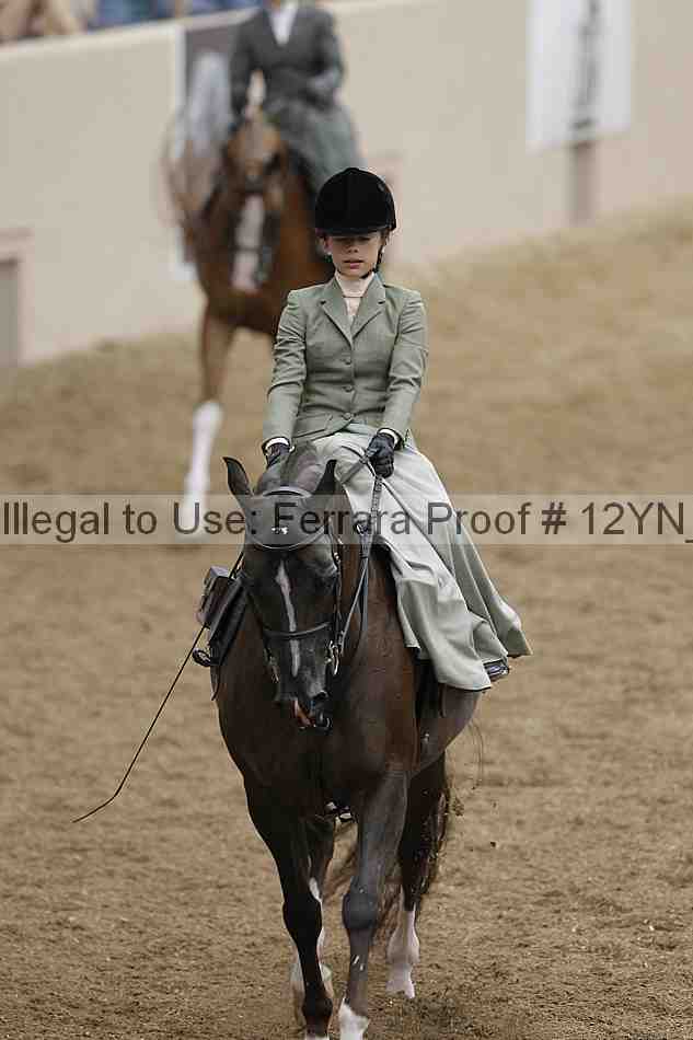 Proof 12yn_01216