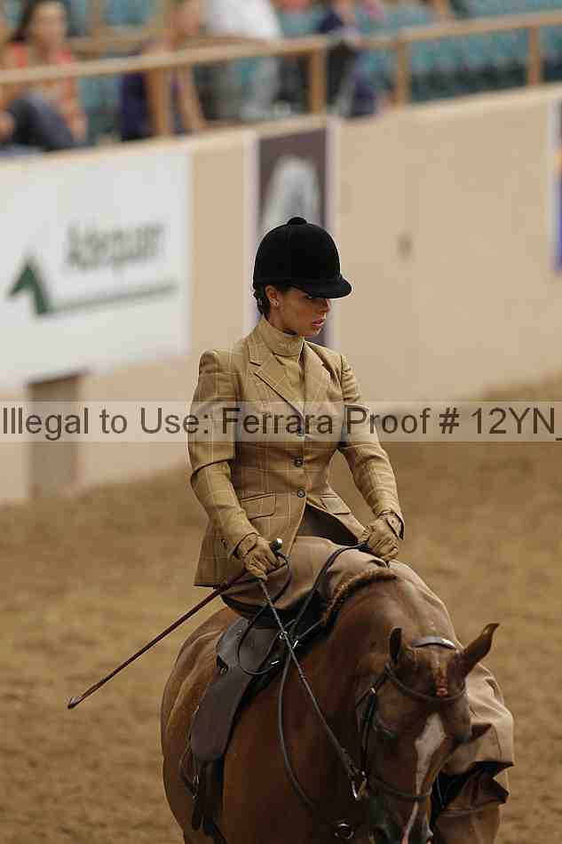 Proof 12yn_01225