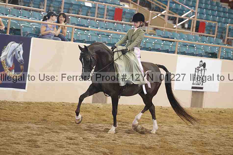 Proof 12yn_01227