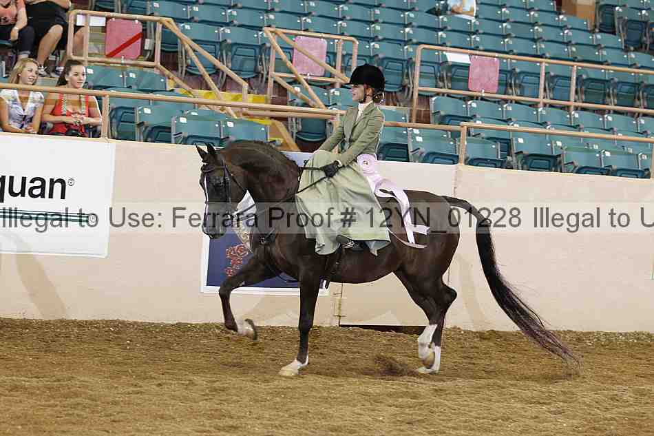 Proof 12yn_01228