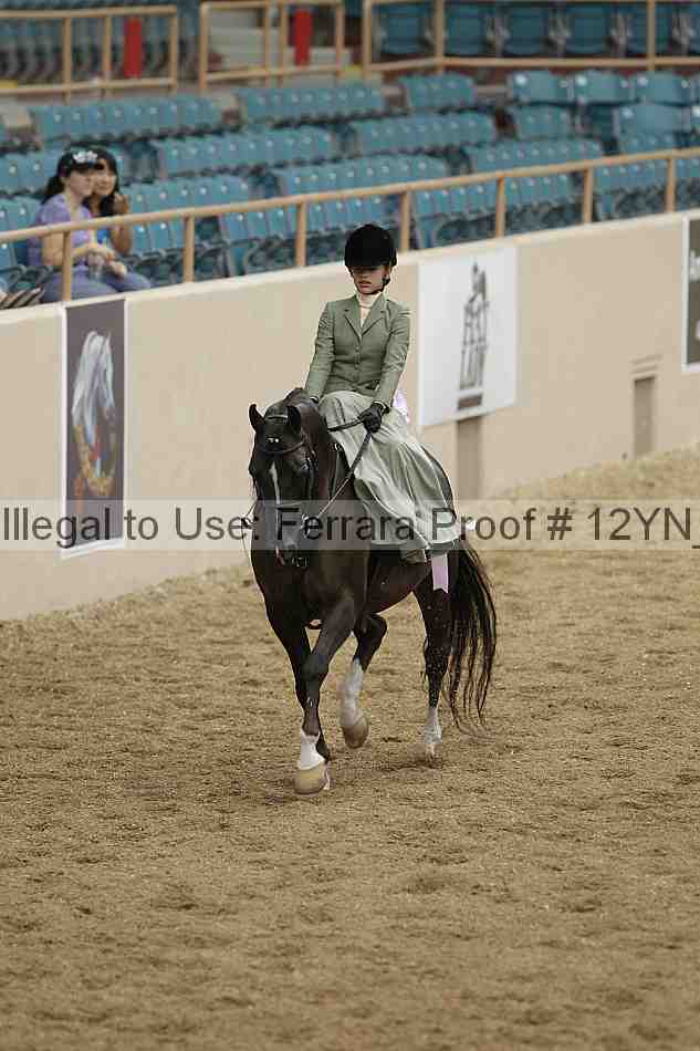 Proof 12yn_01233
