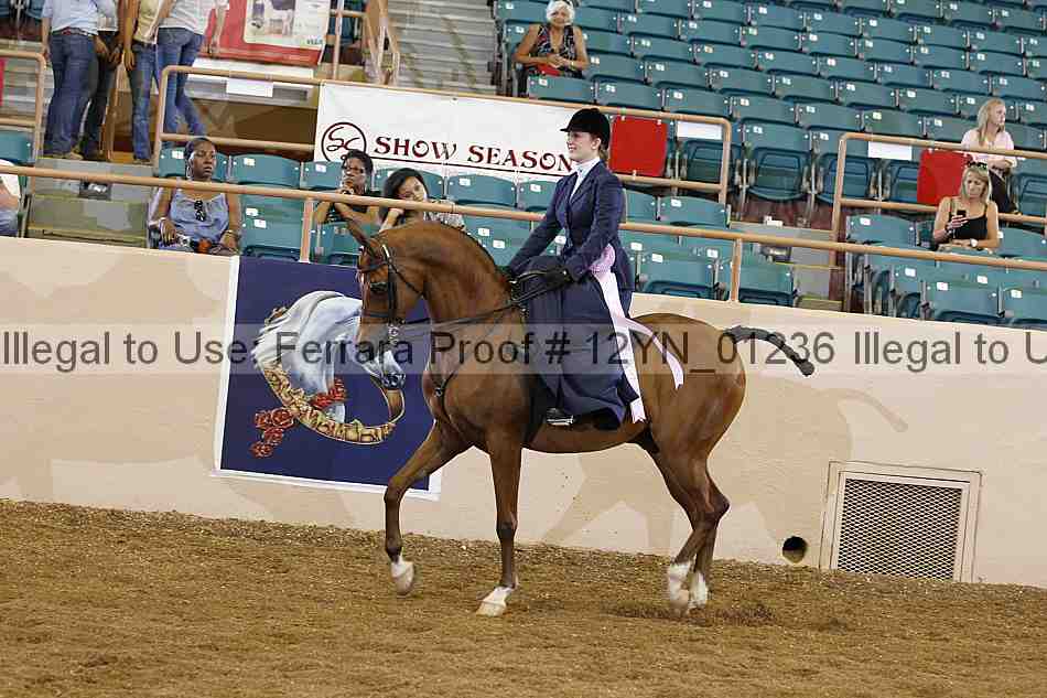 Proof 12yn_01236