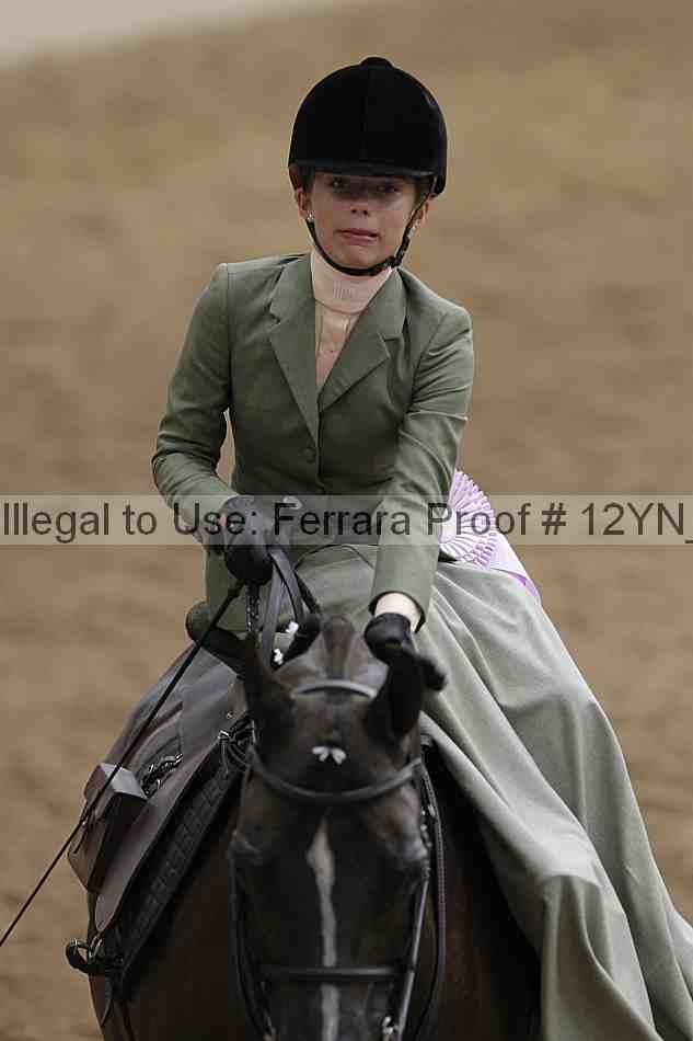 Proof 12yn_01237