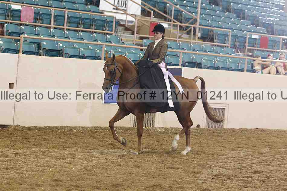 Proof 12yn_01241