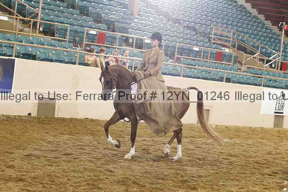 Proof 12yn_01246