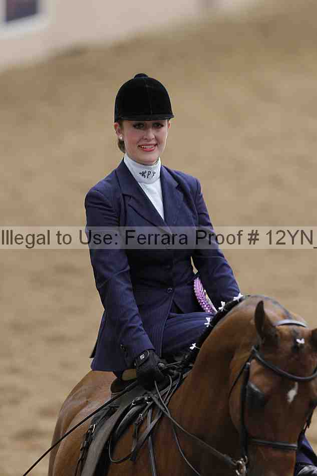 Proof 12yn_01249