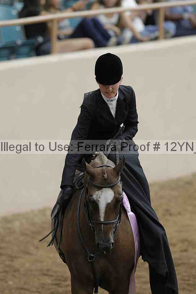 Proof 12yn_01251