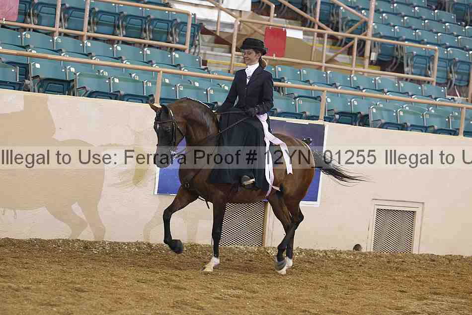 Proof 12yn_01255