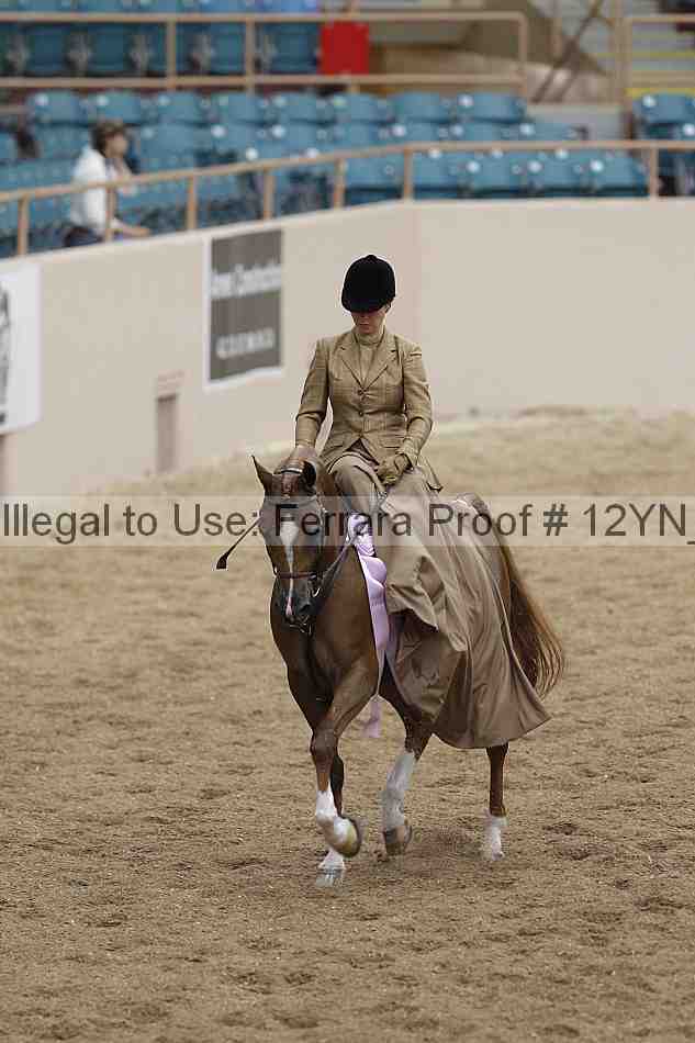 Proof 12yn_01257
