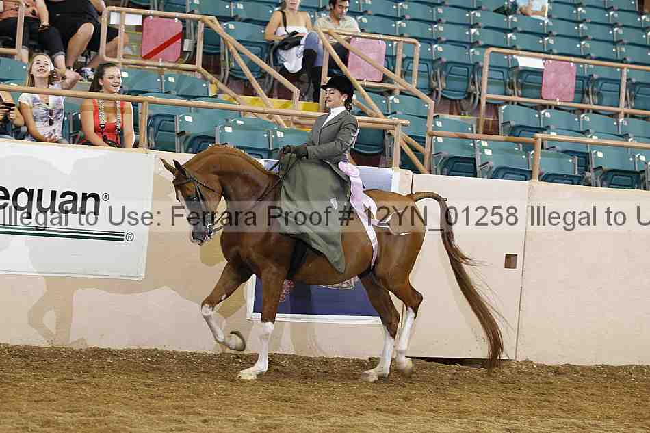 Proof 12yn_01258