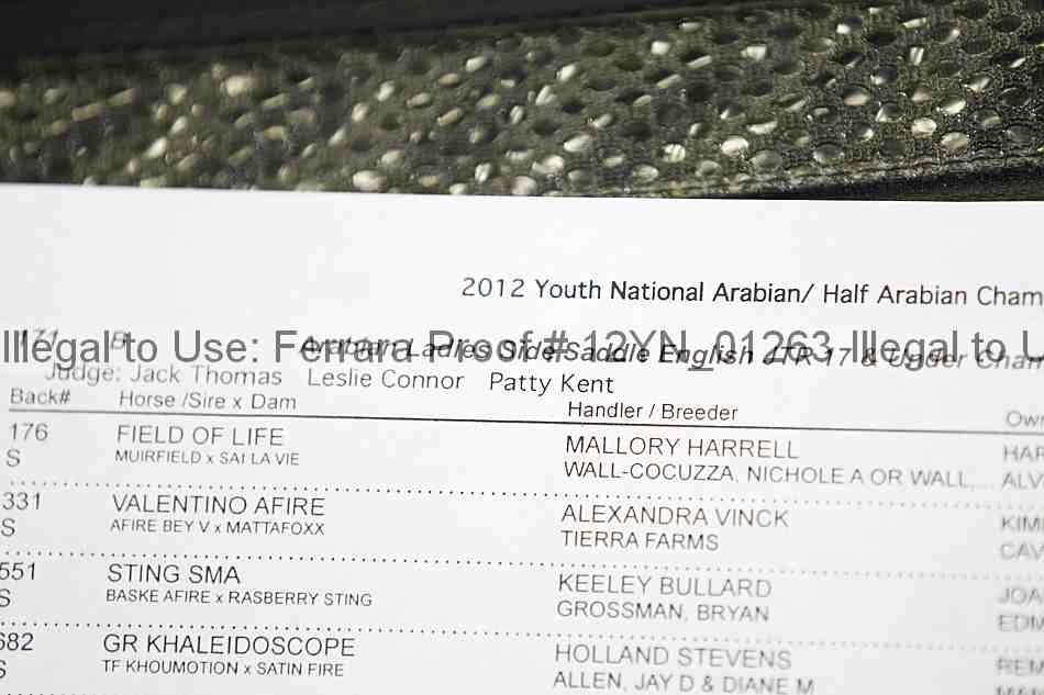 Proof 12yn_01263