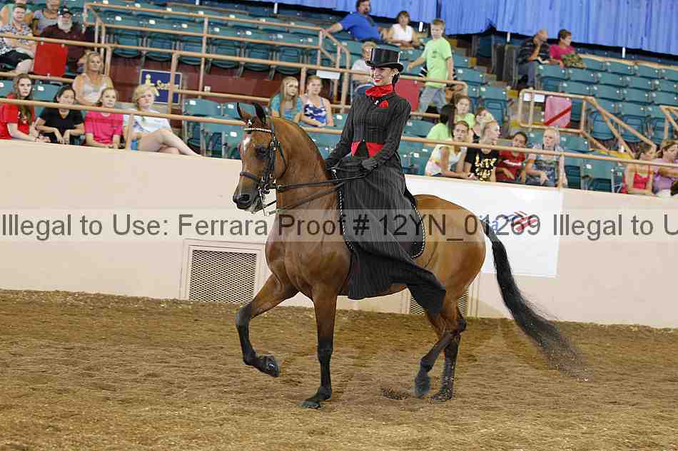 Proof 12yn_01269