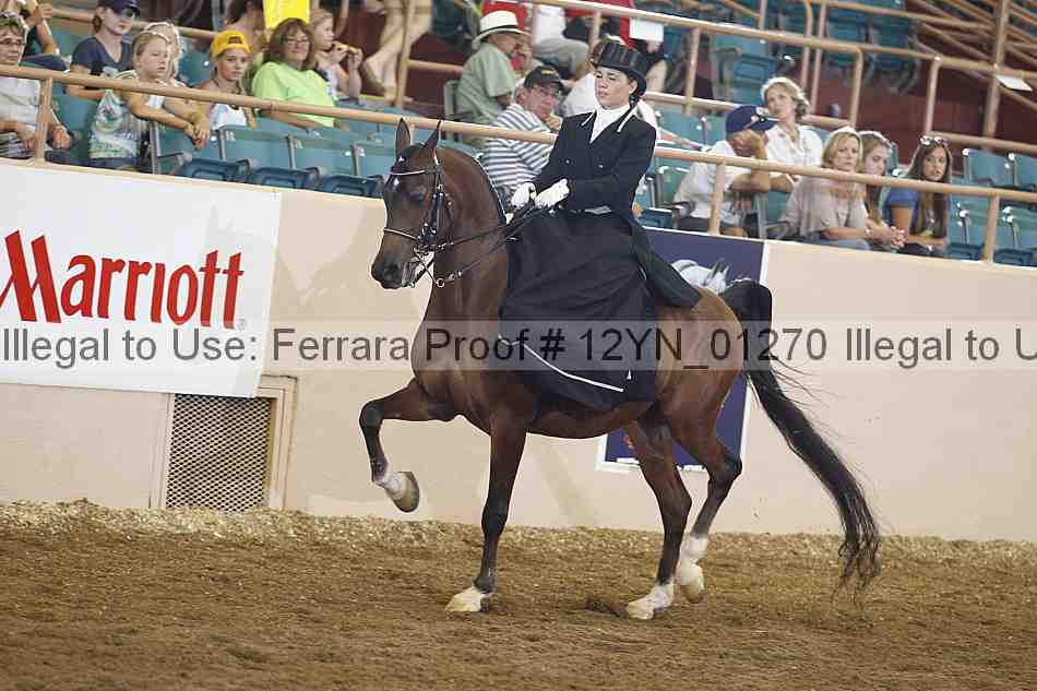 Proof 12yn_01270
