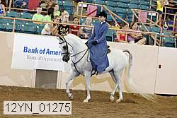 12yn_01275 proof